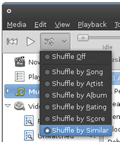 screenshot showing shuffle by similar playback option